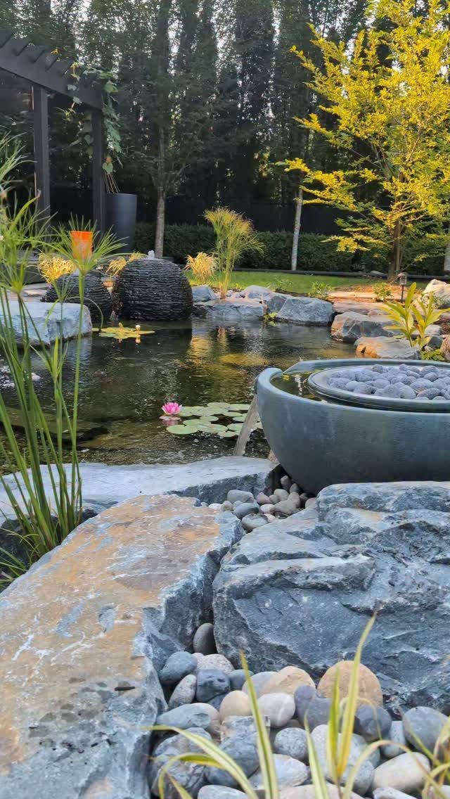 A tranquil backyard pond surrounded by large grey rocks, river stones, and lush green garden plants.