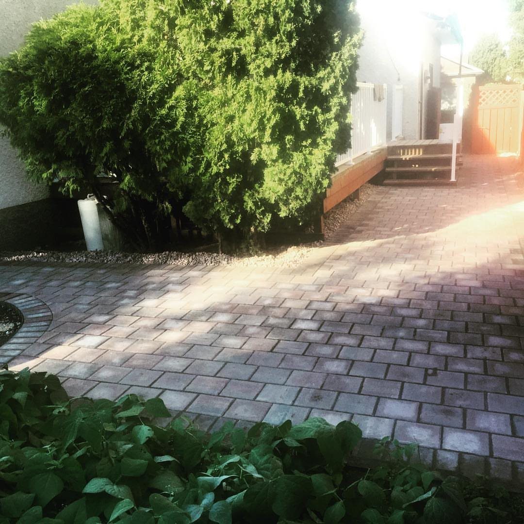 Reddish-brown brick pavers laid in a running bond pattern in a sunny backyard garden.
