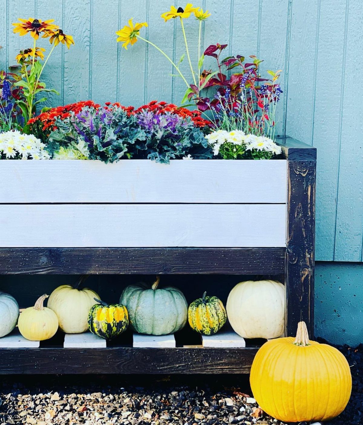 A wooden planter box filled with flowers and kale, featuring a bottom shelf holding various pumpkins.