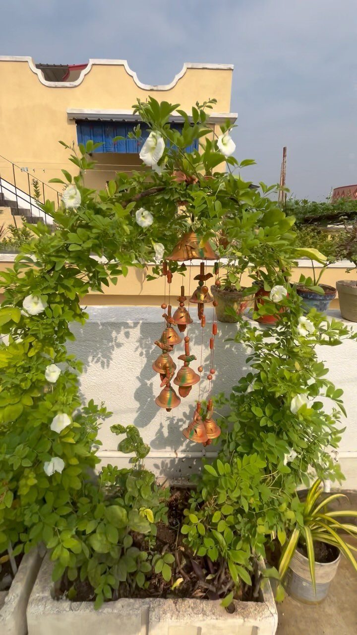 Green leafy plant arch with white flowers and hanging decorative bells.