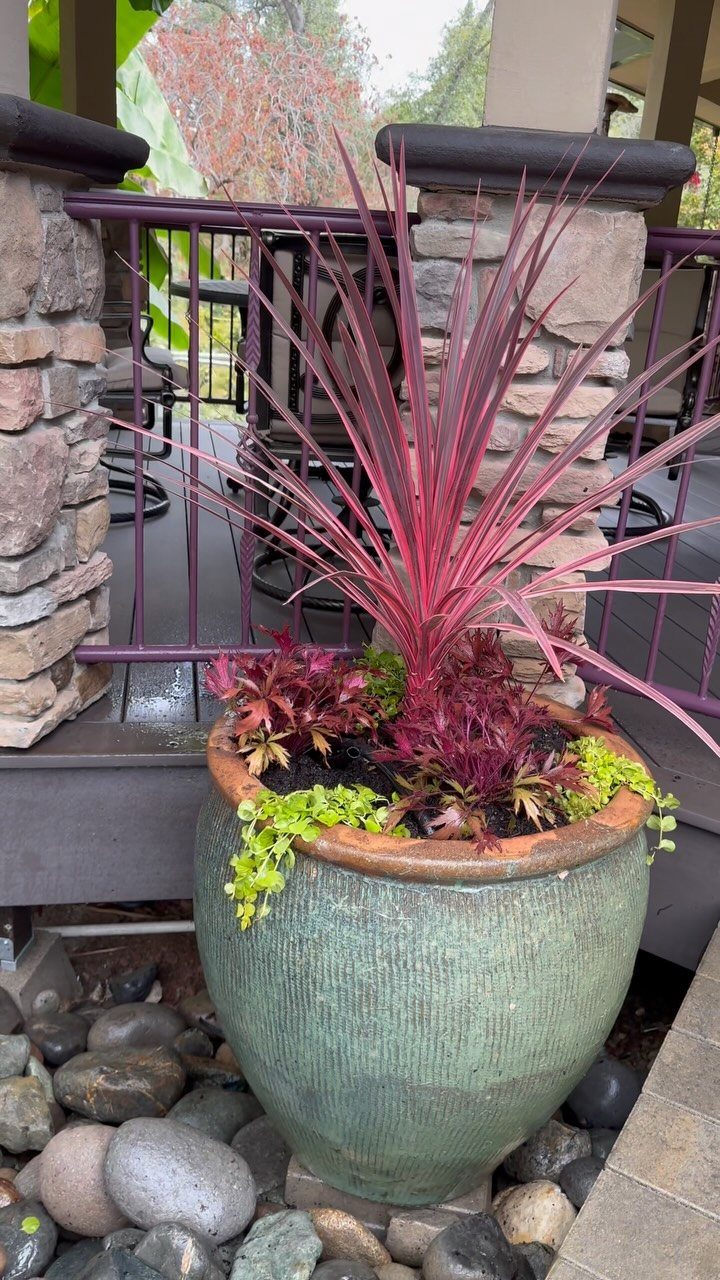 A large teal ceramic pot featuring a tall red spiky plant and trailing green foliage.