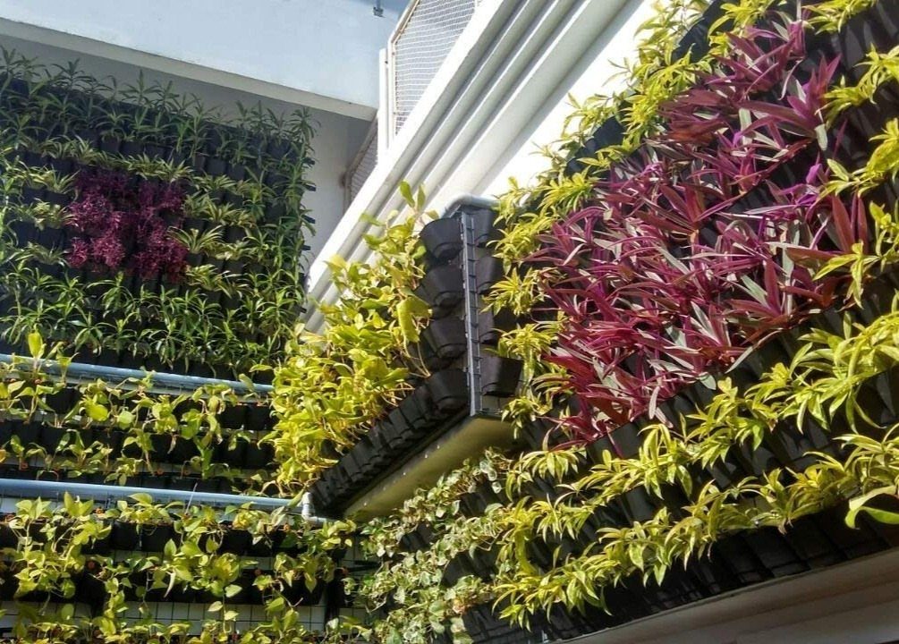 Vertical garden wall with black pots filled with green and purple leafy plants.