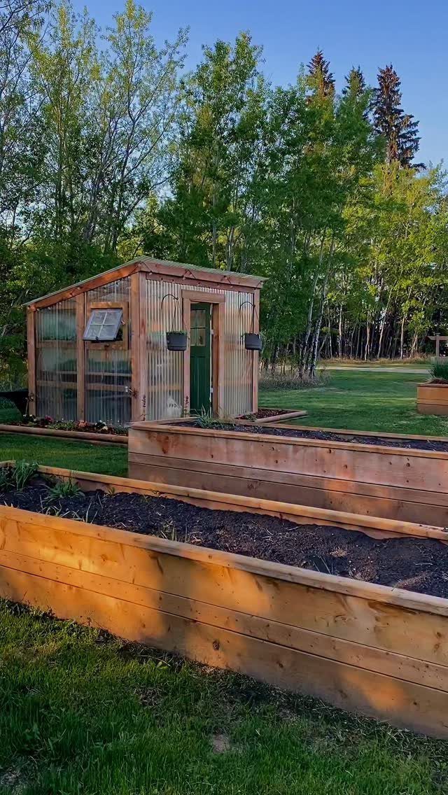 A small wooden greenhouse with translucent walls stands near wooden raised garden beds in a grassy yard.