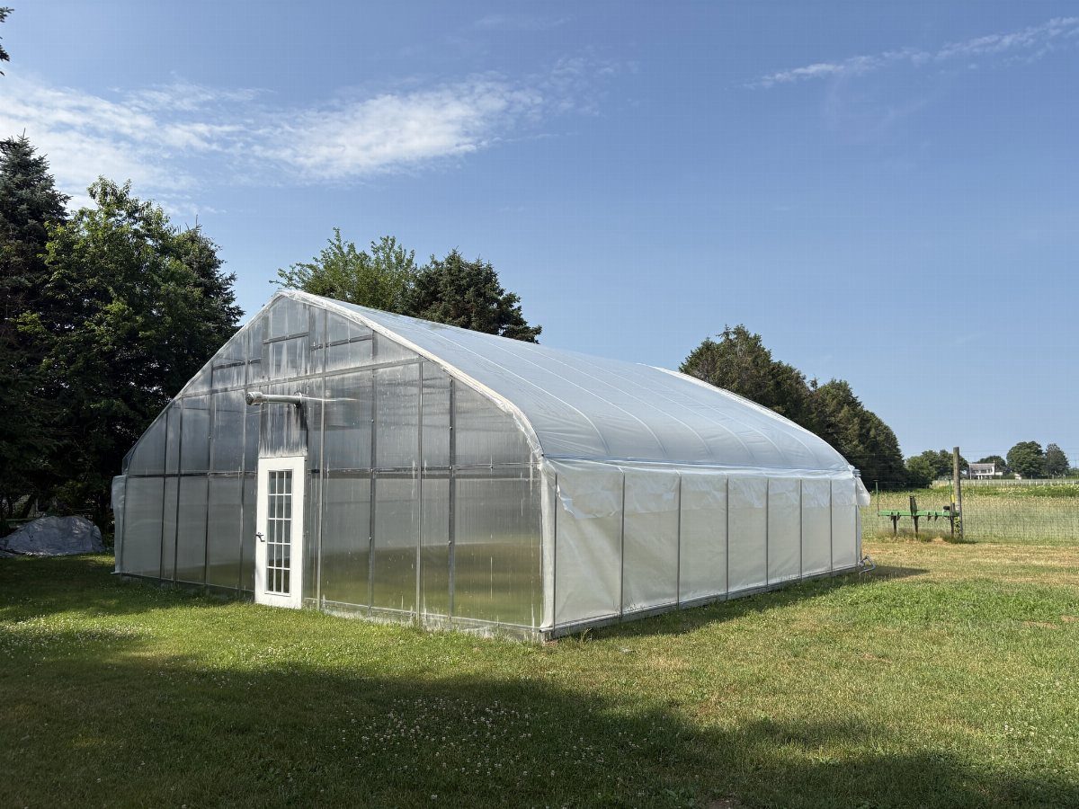 A large translucent gothic arch greenhouse standing on a green lawn under a blue sky.