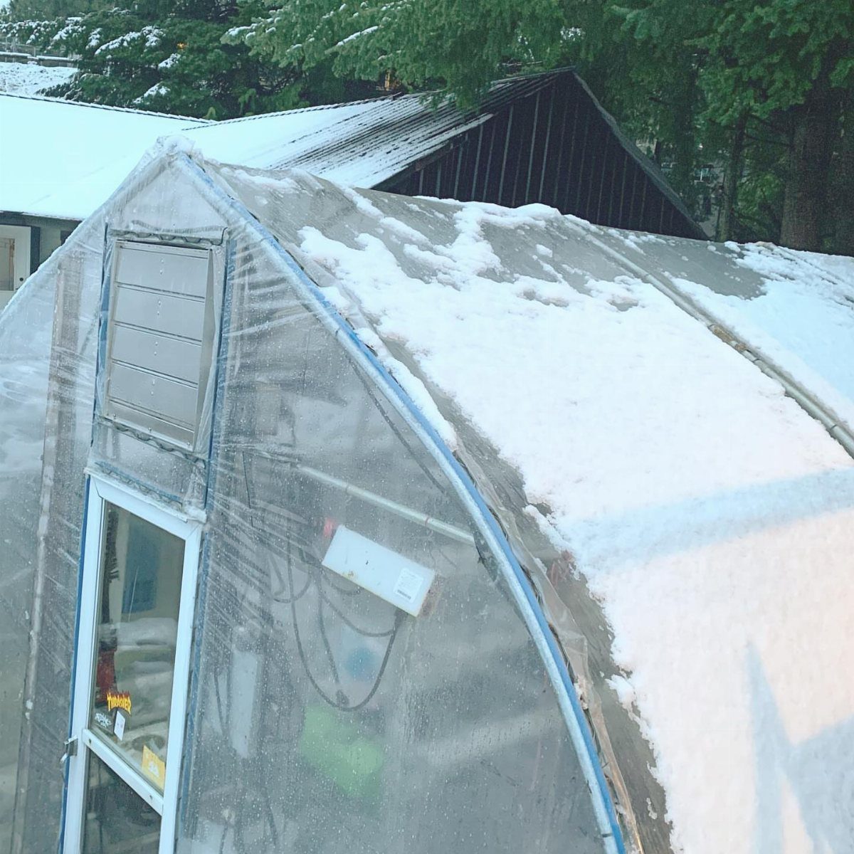 A snow-covered translucent Quonset greenhouse with a small side window vent in a wooded setting.