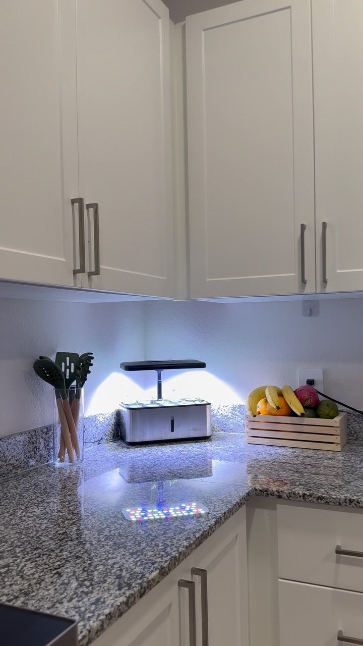 An indoor herb garden setup with a compact LED grow light on a granite countertop.