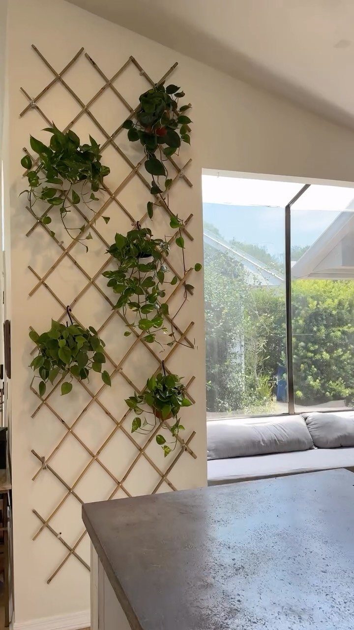 21 Home Decor Ideas for Garden Spaces That Work in Any Yard 2 Green plants in pots mounted on a wooden lattice trellis against a white wall.