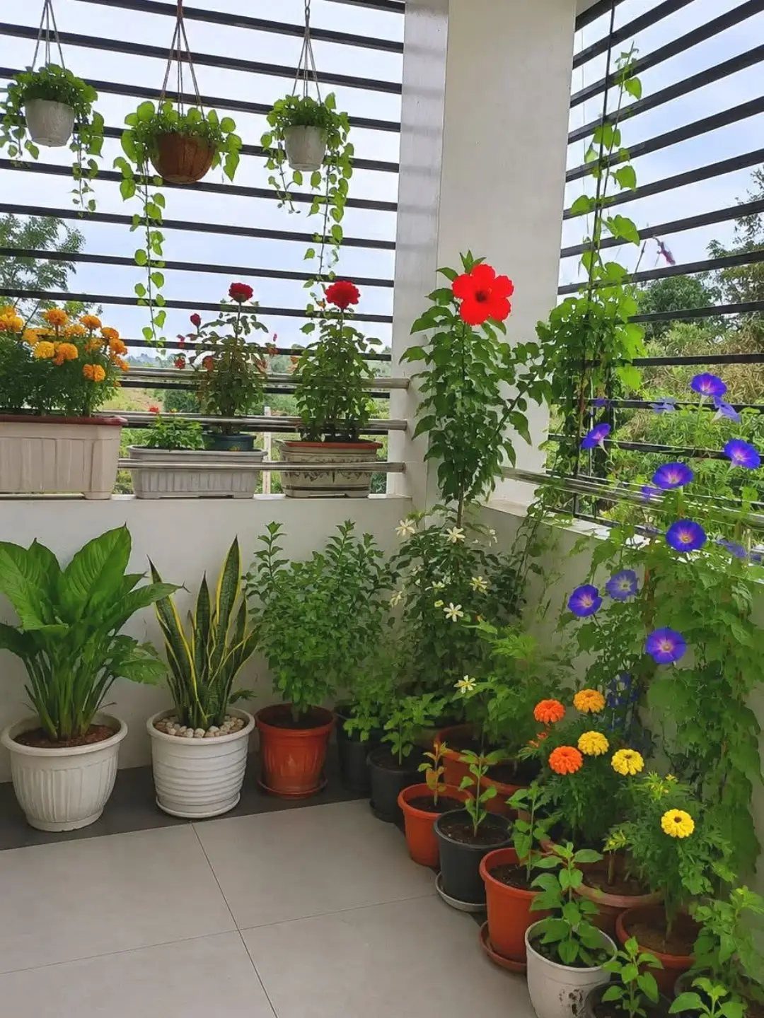 21 Home Decor Ideas for Garden Spaces That Work in Any Yard 6 Various potted plants and hanging greenery decorating a bright, modern balcony space.