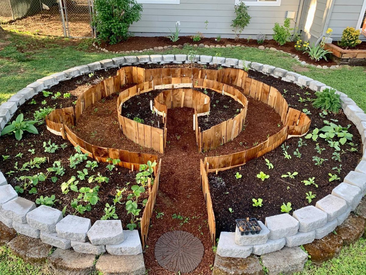 A circular garden with wooden dividers forming a labyrinth pattern for planting beds and paths.
