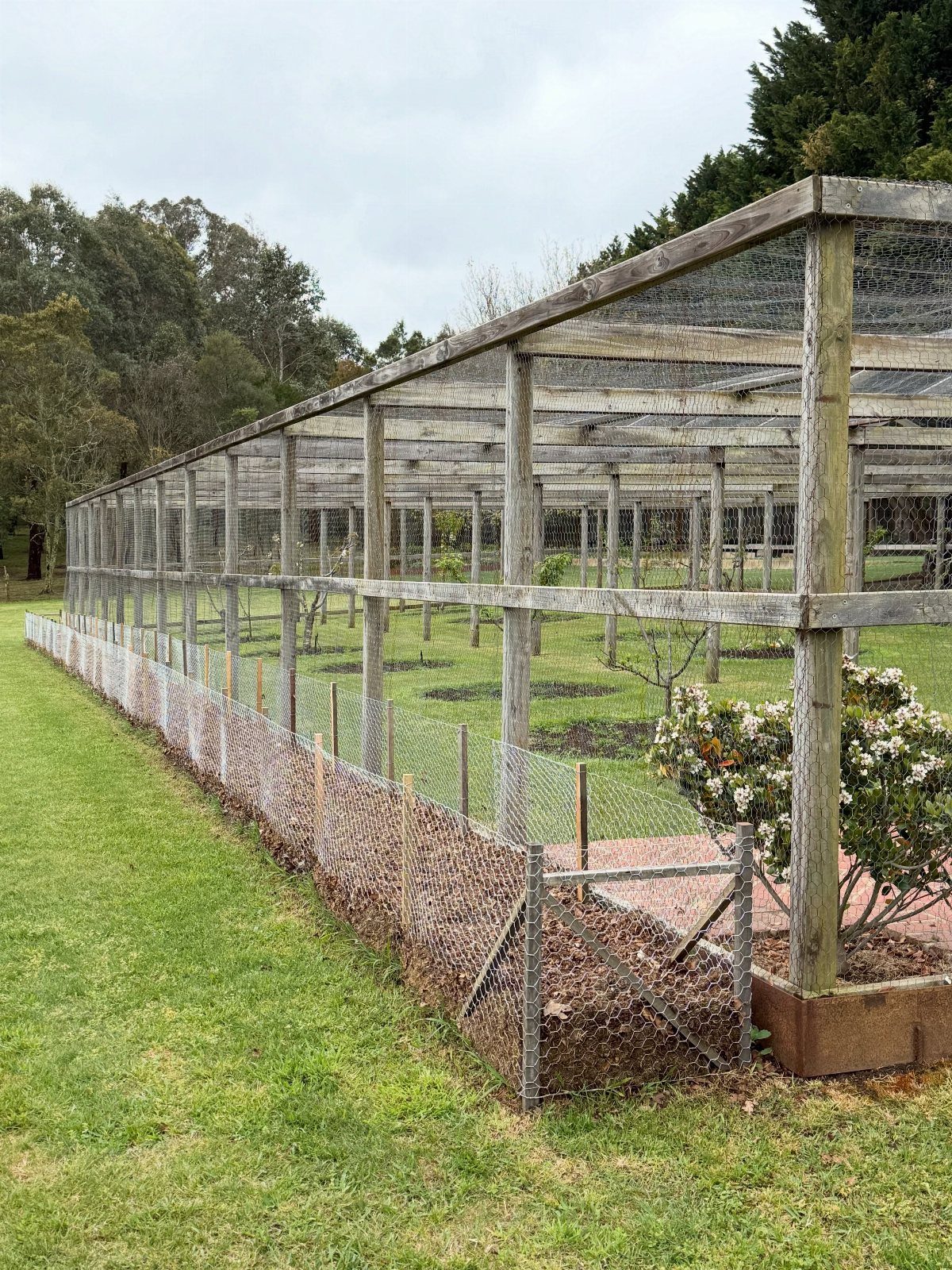 A large wooden mesh enclosure protecting a garden area surrounded by green grass and trees.