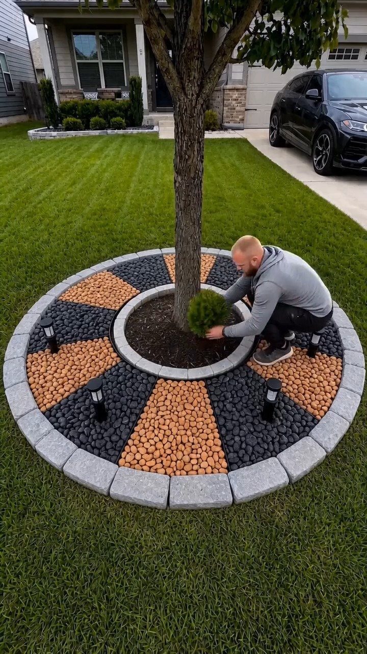 A man planting greenery in a circular stone and pebble garden bed around a tree.