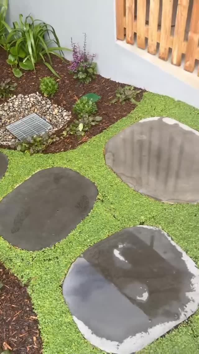 Green ground cover plants growing between large grey stepping stones in a landscaped garden bed.