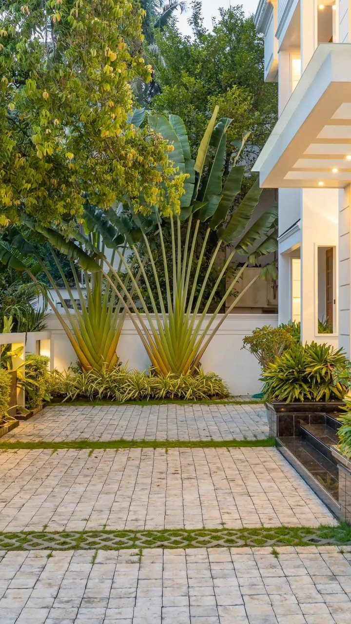 Large tropical fan palms and lush green trees surround a modern paved stone courtyard.