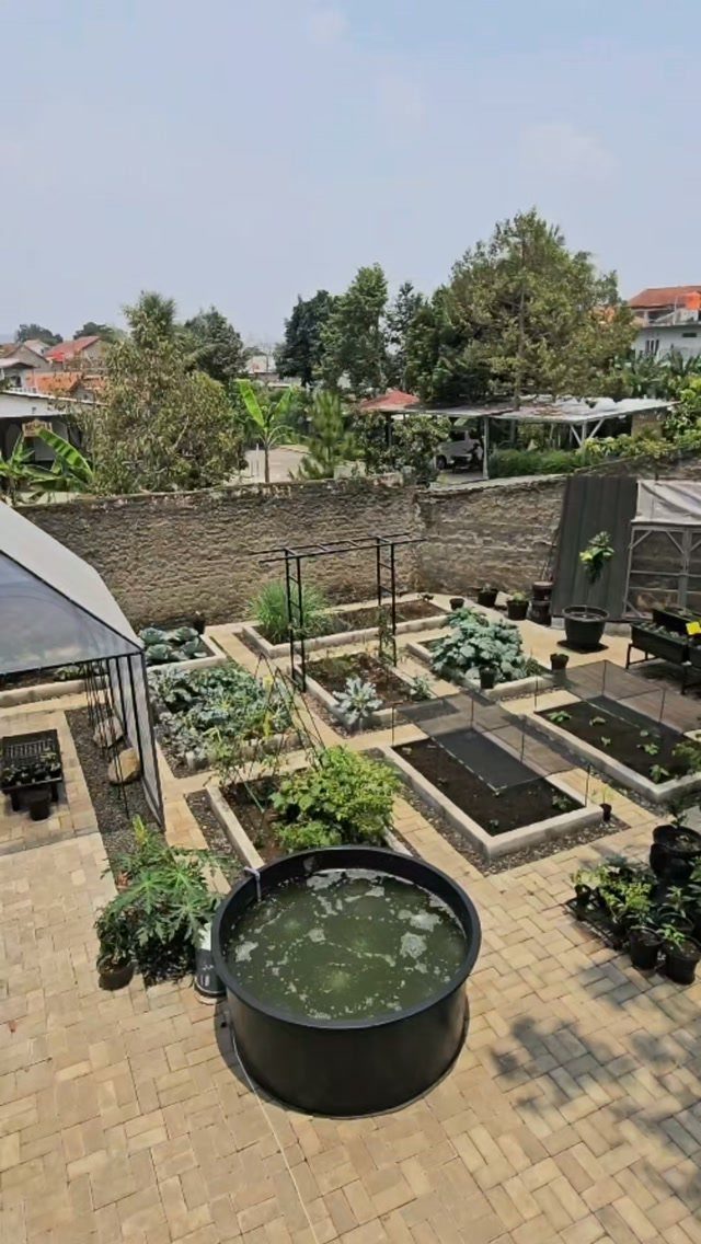 Raised garden beds filled with green plants arranged on a brick paved rooftop patio.