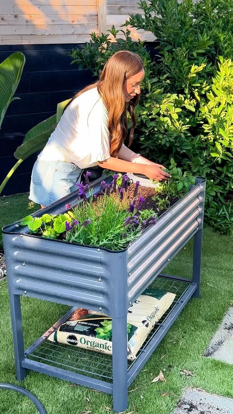 A woman tends to purple flowers growing in a grey metal elevated raised garden bed outdoors.