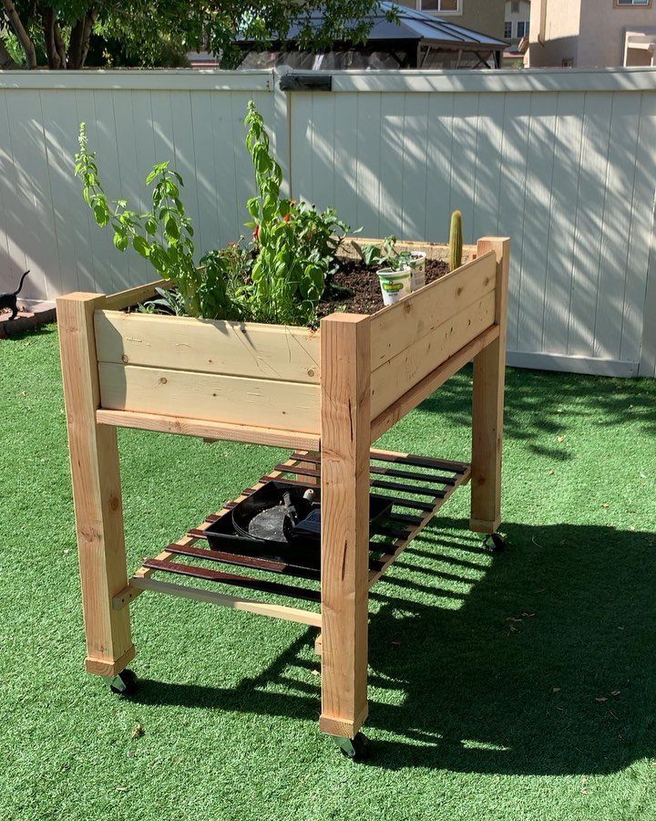 A wooden raised garden bed with green plants on wheels over artificial grass.