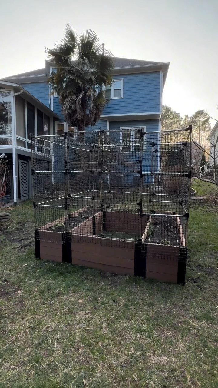 Raised Garden Beds: 9 Ideas for Materials, Layout and Drainage 1 A wooden raised garden bed enclosed in a tall wire mesh cage on a grassy yard.